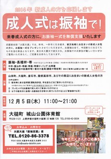 成人式は振袖で.jpg