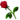 XK[.gif