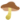 植物だよ。きのこ_m.gif