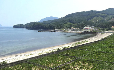 浦の浜.jpg