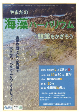 海藻ハ―バリウムで鯨館をかざろう.jpg