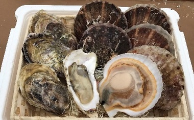 牡蠣&帆立(チョイス掲載用).jpg