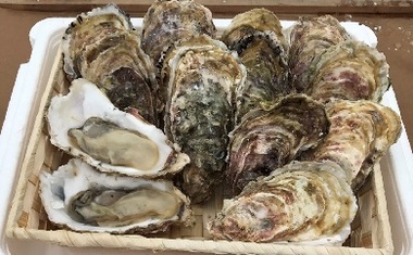 牡蠣(チョイス掲載用).jpg
