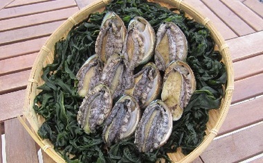 養殖あわびチョイス用(新).jpg