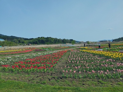 IMG01160_HDR.jpg