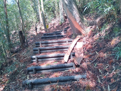 IMG01219_HDR.jpg