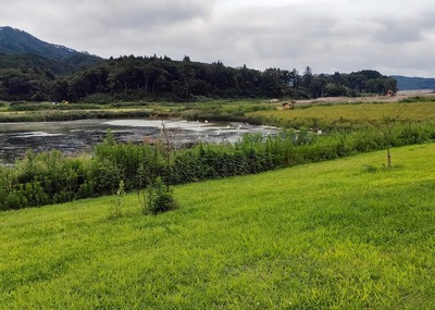 IMG20220904114348.jpg
