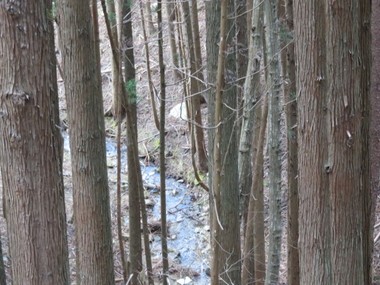 IMG_0042s.jpg