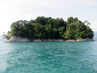 IMG_0046.jpg