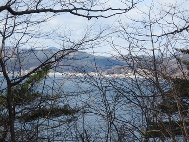 IMG_0050s.jpg
