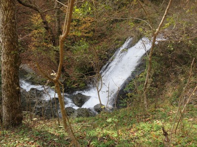 IMG_0608.jpg