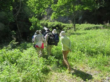 IMG_1184s.jpg