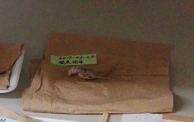 IMG_20170215_163612-2.jpg