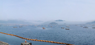 IMG_20170629_164005.jpg