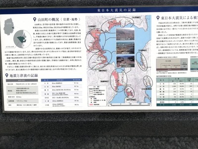 IMG_20200816_132310.jpg