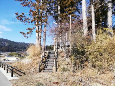 IMG_20210123_111609.jpg