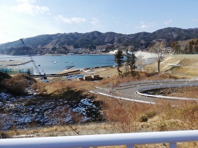 IMG_20210123_115240.jpg