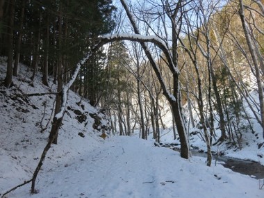 IMG_4104s.jpg