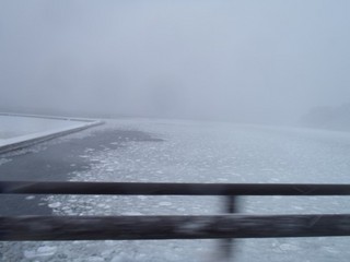P3210033-2.jpg