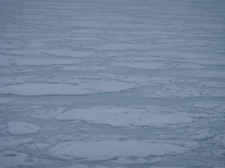 P3210053-2.jpg