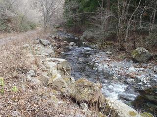 P4120439-2.jpg