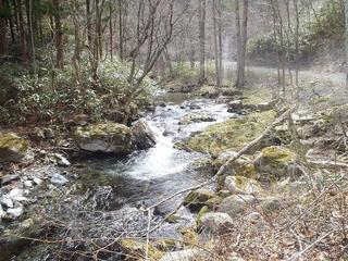 P4120444-2.jpg
