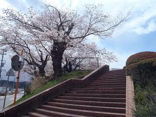 P4190446-2.jpg