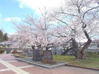 P4190450-2.jpg