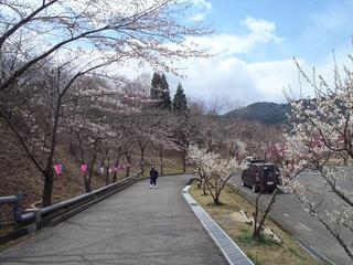 P4190455-2.jpg