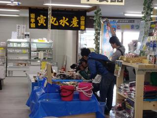 P5250560-2.jpg