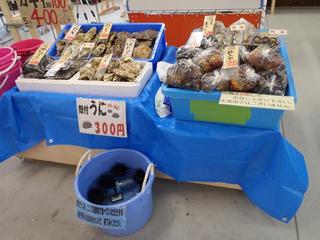 P5250562-2.jpg