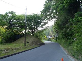 P6050598-2.jpg
