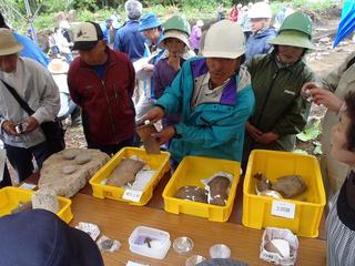 P6290644-2.jpg