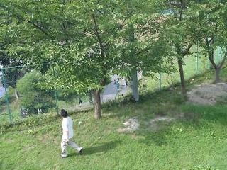 P8130904-2.jpg
