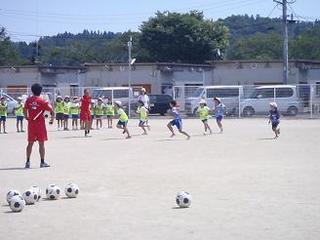 P8231773-2.jpg