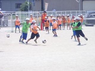P8231797-3.jpg