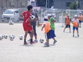 P8231798-2.jpg