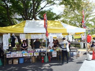 P8250007-2.jpg