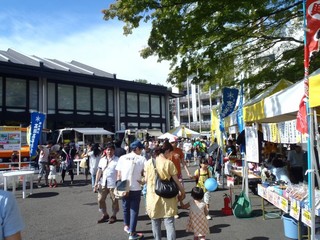 P8250043-2.jpg