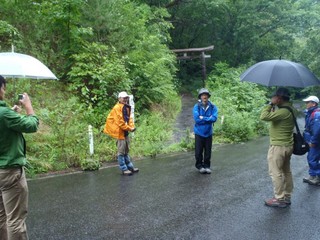 P8270156-2.jpg