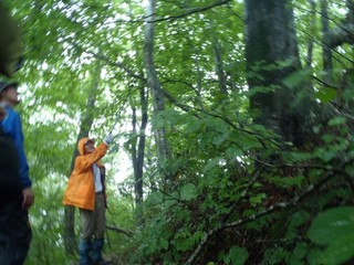 P8270283-2.jpg