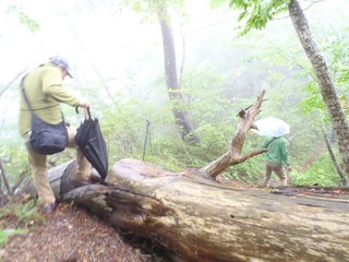 P8270340-2.jpg