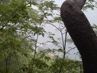 P8270345-2.jpg