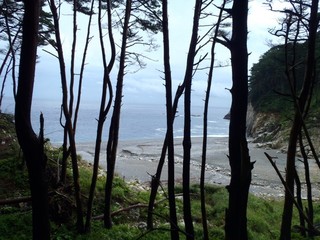 P8270406-2.jpg