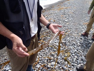 P8270449-2.jpg