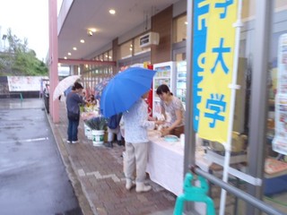 P9080786-2.jpg