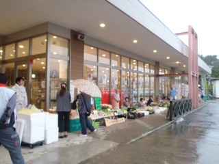 P9080789-2.jpg