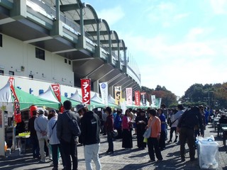 PA191417-2.jpg