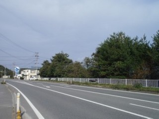 PA301464-5.jpg
