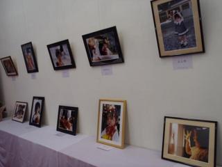 PB150209-2.jpg